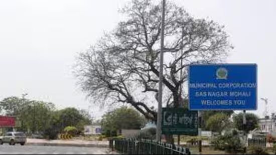 ਮੋਹਾਲੀ ਨਗਰ ਨਿਗਮ ਨੇ ਅੱਜ ਤੋਂ ਘਰ-ਘਰ ਜਾ ਕੇ ਕੂੜਾ ਵੱਖ ਕਰਨ ਦੀ ਮੁਹਿੰਮ ਸ਼ੁਰੂ ਕੀਤੀ