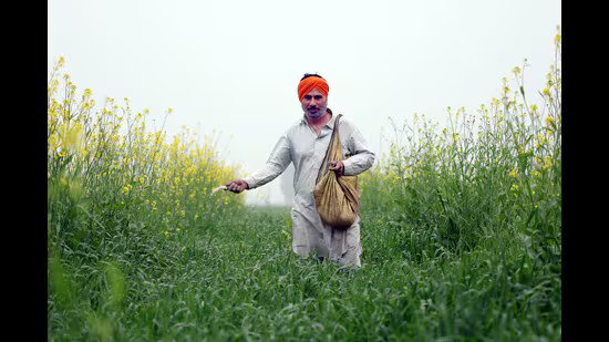 ਯੂਰੀਆ ਦੀ ਜ਼ਿਆਦਾ ਵਰਤੋਂ ‘ਚ ਸੰਗਰੂਰ ਦੇਸ਼ ‘ਚ ਸਭ ਤੋਂ ਅੱਗੇ: ਕੇਂਦਰ ਦੀ ਰਿਪੋਰਟ