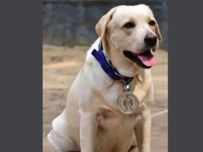 ਰੀਨਾ, ਕੇਰਲ ਪੁਲਿਸ ਦਾ ਸਭ ਤੋਂ ਪੁਰਾਣਾ ਸੇਵਾ ਕਰਨ ਵਾਲਾ ਕੁੱਤਾ ਜੋ ਫਿੱਟ ਰਹਿੰਦਾ ਹੈ, ਰਿਟਾਇਰ ਹੋਣ ਲਈ ਤਿਆਰ ਹੈ