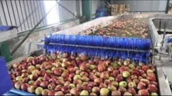 ਰੇਲ ਨੇ 2025 ਵਿੱਚ ਕਸ਼ਮੀਰ ਵਿੱਚ 20,000 ਟਨ ਸੇਬ ਦੀ ਢੋਆ-ਢੁਆਈ ਕੀਤੀ