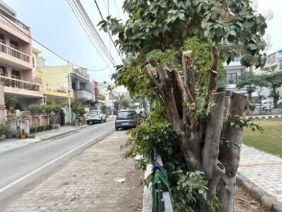 ਲੁਧਿਆਣਾ 'ਚ ਦਰੱਖਤਾਂ ਦੀ ਕਟਾਈ ਕਰਨ ਦੇ ਦੋਸ਼ 'ਚ ਦੋ ਖਿਲਾਫ ਮਾਮਲਾ ਦਰਜ