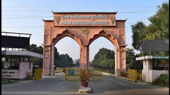 ਲੁਧਿਆਣਾ: ਪੀਏਯੂ ਨੇ ਰਾਸ਼ਟਰੀ ਅੰਤਰ-ਯੂਨੀਵਰਸਿਟੀ ਯੁਵਕ ਮੇਲੇ ਲਈ ਕੁਆਲੀਫਾਈ ਕਰ ਲਿਆ ਹੈ