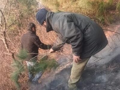 ਸ੍ਰੀਨਗਰ ਦੇ ਦਾਚੀਗਾਮ ਨੈਸ਼ਨਲ ਪਾਰਕ ਨੇੜੇ ਅੱਗ ਲੱਗ ਗਈ