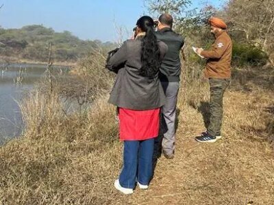 wildbuzz | ਸੁਖਨਾ ਗਲੋਬਲ ਸਟੇਟਸ ਲਈ ਲੜਦੀ ਹੈ