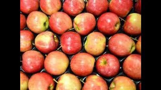ਅਮਰੀਕੀ ਸੇਬ ਦਰਾਮਦ ‘ਤੇ ਜ਼ੀਰੋ ਟੈਰਿਫ ਤੋਂ ਨਾਰਾਜ਼, ਹਿਮਾਚਲ ਦੇ ਉਤਪਾਦਕਾਂ ਨੇ ਜਨਤਕ ਅੰਦੋਲਨ ਦਾ ਸੱਦਾ ਦਿੱਤਾ