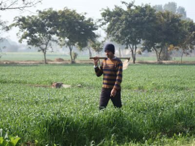 ਆਈਐਮਡੀ ਦੀ ਚੇਤਾਵਨੀ, ਫਰਵਰੀ ਦੀ ਗਰਮੀ ਨਾਲ ਪੰਜਾਬ ਦੀ ਕਣਕ ਦੀ ਪੈਦਾਵਾਰ ਪ੍ਰਭਾਵਿਤ ਹੋ ਸਕਦੀ ਹੈ