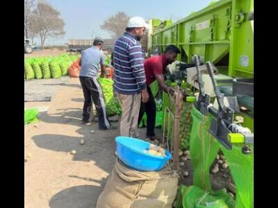 ਆਲੂ ਦੀ ਵਧਦੀ ਮੰਗ ਨਾਲ ਫਿਰੋਜ਼ਪੁਰ ਵਿੱਚ 5 ਸਾਲਾਂ ਵਿੱਚ 2 ਹਜ਼ਾਰ ਏਕੜ ਰਕਬਾ ਵਧਿਆ