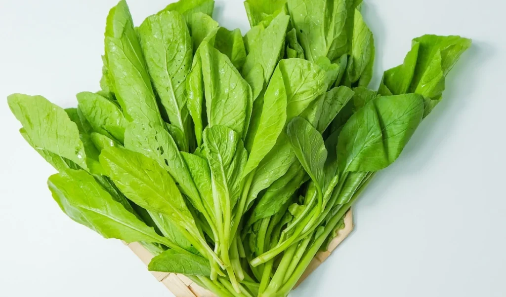 ਚਰਬੀ ਵਾਲੇ ਜਿਗਰ ਨੂੰ ਨਜ਼ਰਅੰਦਾਜ਼ ਨਾ ਕਰੋ! ਜਾਣੋ ਉਲਟਾ ਕਿਵੇਂ ਕਰੀਏ ਇਹ 5 ਚੀਜ਼ਾਂ ਰਾਮਬਾਣ ਹਨ