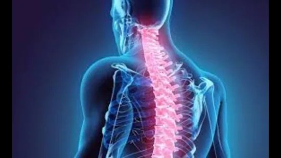 ਚੰਡੀਗੜ੍ਹ: ਪੀਜੀਆਈ ਵਿੱਚ ਰੀੜ੍ਹ ਦੀ ਹੱਡੀ ਦੇ 67% ਮਰੀਜ਼ਾਂ ਨੇ 2 ਸਾਲਾਂ ਵਿੱਚ ਪੀਐਮ-ਜੇਏਏ ਦਾ ਲਾਭ ਲਿਆ, ਅਧਿਐਨ ਵਿੱਚ ਖੁਲਾਸਾ ਹੋਇਆ ਹੈ