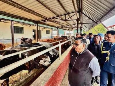 ਚੰਡੀਗੜ੍ਹ: ਯੂਟੀ ਪ੍ਰਸ਼ਾਸਕ ਕਟਾਰੀਆ ਨੇ ਸ਼ਹਿਰ ਭਰ ਦੀਆਂ ਨਾਗਰਿਕ ਸਹੂਲਤਾਂ ਦਾ ਜਾਇਜ਼ਾ ਲਿਆ