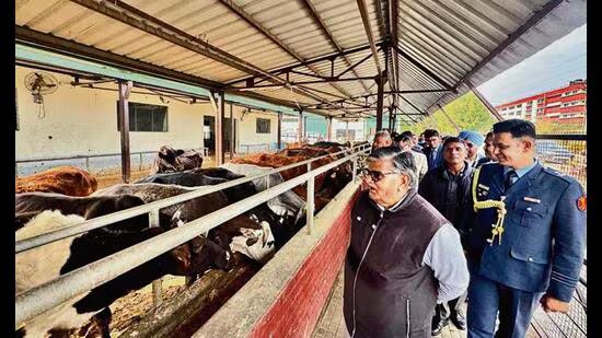 ਚੰਡੀਗੜ੍ਹ: ਯੂਟੀ ਪ੍ਰਸ਼ਾਸਕ ਕਟਾਰੀਆ ਨੇ ਸ਼ਹਿਰ ਭਰ ਦੀਆਂ ਨਾਗਰਿਕ ਸਹੂਲਤਾਂ ਦਾ ਜਾਇਜ਼ਾ ਲਿਆ