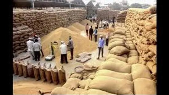 ਝੋਨੇ ਦੀ ਖਰੀਦ ਘੁਟਾਲਾ: ਕਿਸਾਨ ਯੂਨੀਅਨਾਂ ਨੇ ਸਾਰੇ ਦੋਸ਼ੀਆਂ ਦੀ ਜਾਇਦਾਦ ਦੀ ਜਾਂਚ ਦੀ ਮੰਗ ਕੀਤੀ ਹੈ