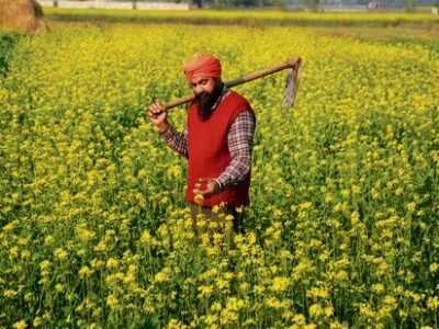 ਪੰਜਾਬ ਕੇਂਦਰ ਦੀ ਫਲੈਗਸ਼ਿਪ ਸਕੀਮ ਪ੍ਰਧਾਨ ਮੰਤਰੀ-ਆਸ਼ਾ ਨੂੰ ਨਹੀਂ ਅਪਣਾਏਗਾ