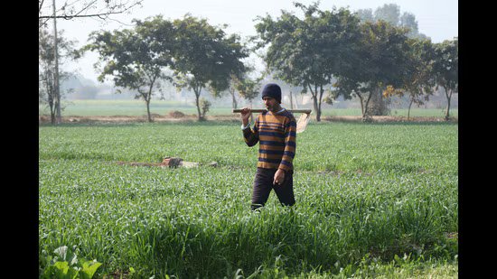 ਪੰਜਾਬ: ਸਬਸਿਡੀ ਬਿੱਲ, ਕਰਜ਼ੇ ਵਧਣ ਕਾਰਨ ਵਿੱਤੀ ਸੰਕਟ ਹੋਰ ਵਿਗੜ ਜਾਵੇਗਾ, ਅਧਿਐਨ ਦੀ ਚੇਤਾਵਨੀ