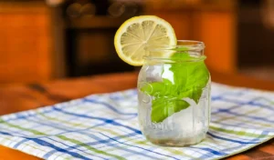 ਬਲੱਡ ਪਿਊਰੀਫਾਇਰ: ਸਿਹਤਮੰਦ ਜੀਵਨ ਲਈ ਖੂਨ ਸ਼ੁੱਧ ਕਰਨਾ ਕਿਉਂ ਜ਼ਰੂਰੀ ਹੈ, ਜਾਣੋ ਮਾਹਰਾਂ ਤੋਂ ਇਹ ਸਭ ਤੋਂ ਪ੍ਰਭਾਵਸ਼ਾਲੀ ਕੁਦਰਤੀ ਉਪਚਾਰ।