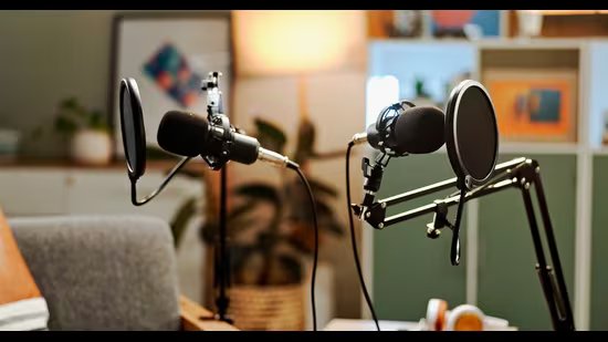 ਬੇਤਰਤੀਬੇ ਧਾੜੇ | ਪੋਡਕਾਸਟ ਵਾਈਬ ਨੂੰ ਸਮਝਣਾ