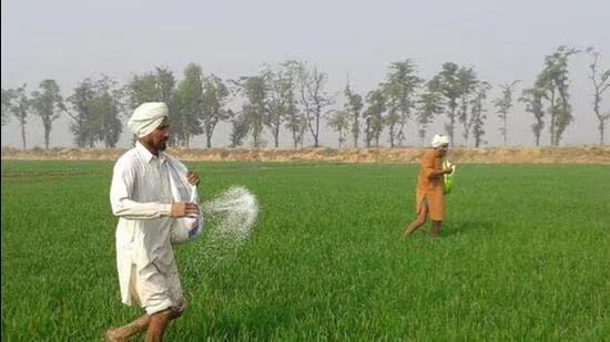 ਮਹਿਮਾਨ ਕਾਲਮ | ਅਮਰੀਕਾ ਵਪਾਰ ਸੌਦਾ: ਪੰਜਾਬ ਦੀ ਖੇਤੀ ਲਈ ਖ਼ਤਰੇ ਨਾਲੋਂ ਵੱਧ ਮੌਕਾ