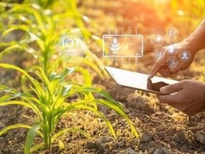 ਮਹਿਮਾਨ ਕਾਲਮ | ਏਆਈ ਪੰਜਾਬ ਦੀ ਅਗਲੀ ਹਰੀ ਕ੍ਰਾਂਤੀ ਦੀ ਸ਼ੁਰੂਆਤ ਕਰ ਸਕਦੀ ਹੈ