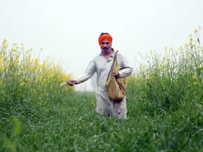 ਮਹਿਮਾਨ ਕਾਲਮ | ਪੰਜਾਬ ਦੀ ਖੇਤੀ ਵਿਰਾਸਤ ਅਤੇ ਸਹਿਕਾਰਤਾ ਦਾ ਉਭਾਰ