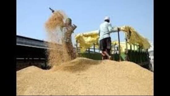 ਮਿਲਿੰਗ ਹਿੱਟ: ਪੰਜਾਬ ਨੇ 1-ਲੱਖ ਟਨ ਫੋਰਟੀਫਾਈਡ ਰਾਈਸ ਕਰਨਲ ਲਈ ਟੈਂਡਰ ਮੰਗੇ