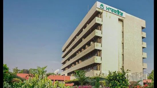 ਮੇਰੀ ਰਸੋਈ ਯੋਜਨਾ: ਮਾਰਕਫੈੱਡ ਮਈ ਦੇ ਅੱਧ ਤੋਂ ਰਾਸ਼ਨ ਕਿੱਟਾਂ ਦੀ ਖਰੀਦ ਕਰੇਗਾ, ਖੁਰਾਕ ਵਿਭਾਗ ਵੰਡੇਗਾ