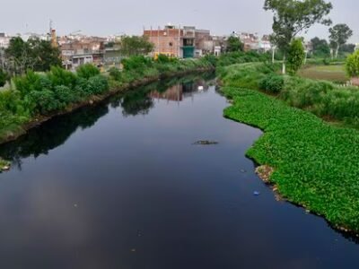 ਲੁਧਿਆਣਾ: ਸਮਾਂ ਸੀਮਾ ਖਤਮ, 19 ਰੰਗਾਈ ਯੂਨਿਟ ਅਜੇ ਵੀ ਜ਼ੀਰੋ ਲਿਕਵਿਡ ਡਿਸਚਾਰਜ ਨਿਯਮਾਂ ਦੀ ਉਲੰਘਣਾ ਕਰ ਰਹੇ ਹਨ