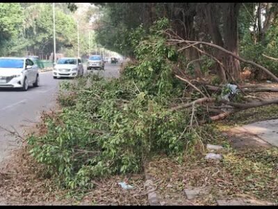 ਹਫਤਾ ਬੀਤ ਜਾਣ ਦੇ ਬਾਵਜੂਦ ਮੋਹਾਲੀ 'ਚ ਤੂਫਾਨ ਦਾ ਮਲਬਾ ਨਹੀਂ ਹਟਿਆ