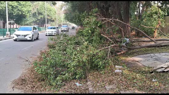 ਹਫਤਾ ਬੀਤ ਜਾਣ ਦੇ ਬਾਵਜੂਦ ਮੋਹਾਲੀ ‘ਚ ਤੂਫਾਨ ਦਾ ਮਲਬਾ ਨਹੀਂ ਹਟਿਆ