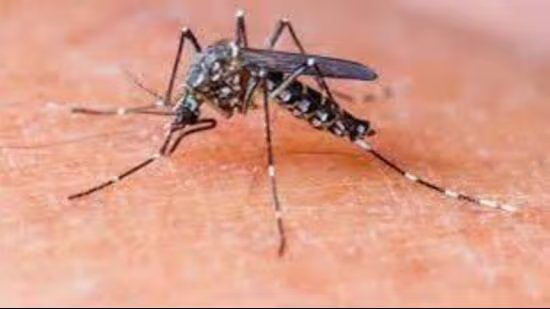 ਹਰਿਆਣਾ ਨੇ ਵੈਕਟਰ ਤੋਂ ਪੈਦਾ ਹੋਣ ਵਾਲੀਆਂ ਬਿਮਾਰੀਆਂ ਲਈ ਨਿਯਮਾਂ ਨੂੰ ਸੂਚਿਤ ਕੀਤਾ