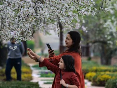 1.8 ਮੀਟਰ ਫੁੱਲਾਂ ਨਾਲ, ਕਸ਼ਮੀਰ ਦਾ ਪ੍ਰਤੀਕ ਟਿਊਲਿਪ ਗਾਰਡਨ ਇਸ ਬਸੰਤ ਰੁੱਤ ਦੇ ਸ਼ੁਰੂ ਵਿੱਚ ਖੁੱਲ੍ਹਣ ਵਾਲਾ ਹੈ