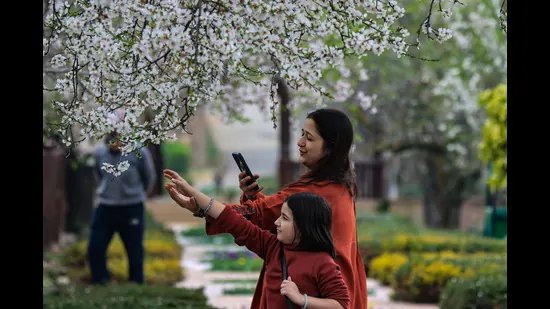 1.8 ਮੀਟਰ ਫੁੱਲਾਂ ਨਾਲ, ਕਸ਼ਮੀਰ ਦਾ ਪ੍ਰਤੀਕ ਟਿਊਲਿਪ ਗਾਰਡਨ ਇਸ ਬਸੰਤ ਰੁੱਤ ਦੇ ਸ਼ੁਰੂ ਵਿੱਚ ਖੁੱਲ੍ਹਣ ਵਾਲਾ ਹੈ