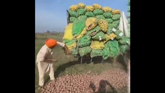 ਆਲੂ ਉਤਪਾਦਕਾਂ ਨੂੰ ਭਾਅ ਦੀ ਮਾਰ ਝੱਲਣੀ ਪਈ, ਫਸਲਾਂ ਸੜਕਾਂ ‘ਤੇ ਸੁੱਟੀਆਂ ਗਈਆਂ