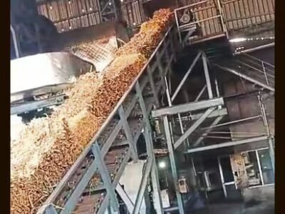 ਈਂਧਨ ਸੰਕਟ: ਲੁਧਿਆਣਾ ਦੀ ਰੰਗਾਈ ਉਦਯੋਗ ਖੇਤੀ ਰਹਿੰਦ-ਖੂੰਹਦ ਊਰਜਾ ਪ੍ਰਣਾਲੀ ਵੱਲ ਤਬਦੀਲ ਹੋ ਰਿਹਾ ਹੈ