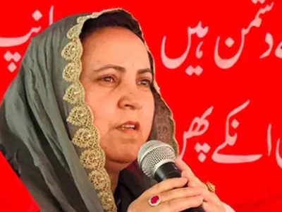 ਜੰਮੂ-ਕਸ਼ਮੀਰ ਰਾਜੌਰੀ ਮੌਤਾਂ: ਸਰਕਾਰ ਨੇ ਤਾਜ਼ਾ ਖੋਜਾਂ ਵਿੱਚ ਕੀਟਨਾਸ਼ਕ ਜ਼ਹਿਰਾਂ, ਕੈਡਮੀਅਮ ਨੂੰ ਝੰਡੀ