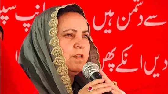 ਜੰਮੂ-ਕਸ਼ਮੀਰ ਰਾਜੌਰੀ ਮੌਤਾਂ: ਸਰਕਾਰ ਨੇ ਤਾਜ਼ਾ ਖੋਜਾਂ ਵਿੱਚ ਕੀਟਨਾਸ਼ਕ ਜ਼ਹਿਰਾਂ, ਕੈਡਮੀਅਮ ਨੂੰ ਝੰਡੀ