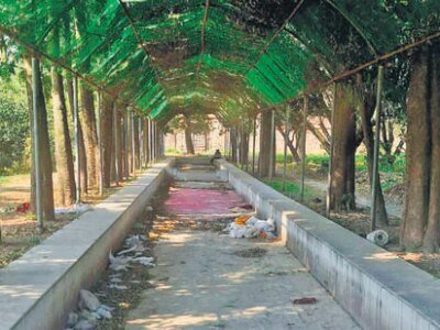 ਪਿੰਜੌਰ ਗਾਰਡਨ ਹੁਣ ਖੰਡਰ ਵਿੱਚ ਹੈ