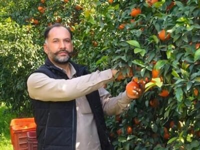 ਪੰਜਾਬ ਦਾ ਬਜਟ: ਖੇਤੀ, ਸਹਾਇਕ ਖੇਤਰਾਂ ਨੂੰ 15,377 ਕਰੋੜ ਰੁਪਏ ਦਾ ਵਾਧਾ