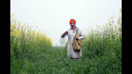 ਪੰਜਾਬ ਵਿੱਚ ਪ੍ਰਧਾਨ ਮੰਤਰੀ-ਕਿਸਾਨ ਲਾਭਪਾਤਰੀਆਂ ਵਿੱਚ 51% ਦੀ ਗਿਰਾਵਟ ਦੇਖੀ ਗਈ ਹੈ: ਲੋਕ ਸਭਾ ਵਿੱਚ ਕੇਂਦਰ