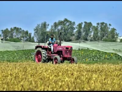 ਮਾਰਚ ਦੀ ਗਰਮੀ ਕਣਕ ਦੀ ਫਸਲ ਨੂੰ ਕਰ ਸਕਦੀ ਹੈ ਪ੍ਰਭਾਵਿਤ : ਮਾਹਿਰ