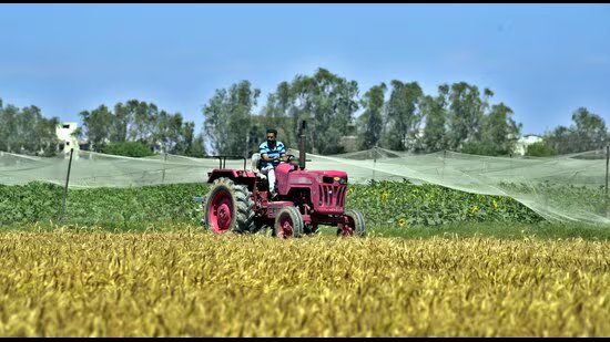 ਮਾਰਚ ਦੀ ਗਰਮੀ ਕਣਕ ਦੀ ਫਸਲ ਨੂੰ ਕਰ ਸਕਦੀ ਹੈ ਪ੍ਰਭਾਵਿਤ : ਮਾਹਿਰ