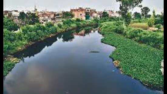 ਲੁਧਿਆਣਾ: ਬੁੱਢੇ ਨਾਲੇ ਦੀ ਸਮੀਖਿਆ ਮੀਟਿੰਗ ਵਿੱਚ ਸੀਵਰੇਜ ਬੋਰਡ ਨੇ ਨਗਰ ਨਿਗਮ ਤੋਂ ਮੰਗੇ 19.6 ਕਰੋੜ ਰੁਪਏ ਦੇ ਬਕਾਏ