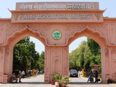 ਲੁਧਿਆਣਾ: ਮਿੱਟੀ, ਧਰਤੀ ਹੇਠਲੇ ਪਾਣੀ ਵਿੱਚ ਭਾਰੀ ਧਾਤਾਂ ਦੀ ਜਾਂਚ ਕਰਨ ਲਈ ₹1.14 ਕਰੋੜ PAU ਦਾ ਅਧਿਐਨ