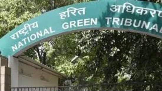 150 ਖੀਰ ਦੇ ਦਰੱਖਤਾਂ ਦੀ ਕਟਾਈ ‘ਤੇ ਪੰਜਾਬ ਨੂੰ NGT ਦਾ ਨੋਟਿਸ