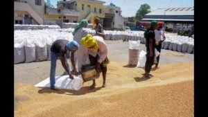 ਕੇਂਦਰ ਨੇ ਮੀਂਹ ਦੇ ਨੁਕਸਾਨ ਦਾ ਮੁਕਾਬਲਾ ਕਰਨ ਲਈ ਪੰਜਾਬ ਲਈ ਕਣਕ ਦੀ ਗੁਣਵੱਤਾ ਦੇ ਮਾਪਦੰਡਾਂ ਨੂੰ ਸੌਖਾ ਕੀਤਾ