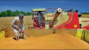 Hindustan Times News