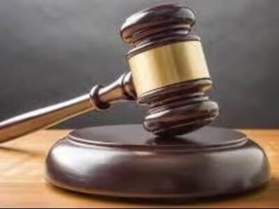 ਟ੍ਰਿਬਿਊਨ ਫਲਾਈਓਵਰ: ਦਰੱਖਤਾਂ ਦੀ ਕਟਾਈ 'ਤੇ ਰੋਕ ਦੀ ਮੰਗ ਲਈ ਹਾਈਕੋਰਟ 'ਚ ਪਟੀਸ਼ਨ