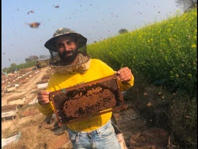 ਪੰਜਾਬ: ਅੰਮ੍ਰਿਤ ਇਕੱਠਾ ਕਰਨ ਦੇ ਸਮੇਂ ਦੌਰਾਨ ਮੀਂਹ ਨੇ ਮਧੂ ਮੱਖੀ ਪਾਲਕਾਂ ਨੂੰ ਡੰਗਿਆ