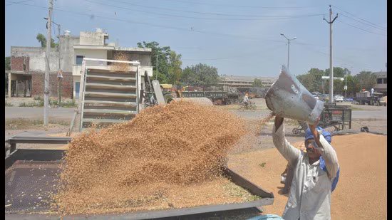 ਪੰਜਾਬ: ਐਫਸੀਆਈ ਨੇ ਕਣਕ ਦੀ ਖਰੀਦ ਲਈ ਗੁਣਵੱਤਾ ਦੇ ਮਾਪਦੰਡਾਂ ਨੂੰ ਸੌਖਾ ਬਣਾਉਣ ਦੀ ਸਿਫਾਰਸ਼ ਕੀਤੀ ਹੈ