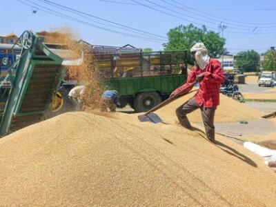 ਪੰਜਾਬ: ਕਣਕ ਦੀ ਖਰੀਦ ਮੁੜ ਸ਼ੁਰੂ, ਪਰ ਗੁਣਵੱਤਾ ਦੀਆਂ ਚਿੰਤਾਵਾਂ ਬਰਕਰਾਰ ਹਨ