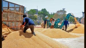 ਪੰਜਾਬ ਦੀਆਂ ਚਾਰ ਖਰੀਦ ਏਜੰਸੀਆਂ ਦੇ ਅਮਲੇ ਨੇ ਕਣਕ ਦੀ ਖਰੀਦ ਰੋਕੀ